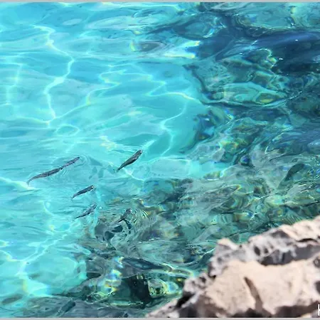 Robinsonhome Rasohatica * Korcula Town